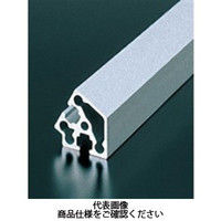 エヌアイシ・オートテック M6 ベーシックアルミフレーム 586mm AFSV-3060-6-586（直送品）