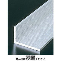 エヌアイシ・オートテック M6 ブラケットフレーム 631mm AFL-3565-631 1セット（10本）（直送品）