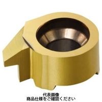 サンドビック TAチップ MBー07TH100ACー11R1025 1セット(5個)（直送品）