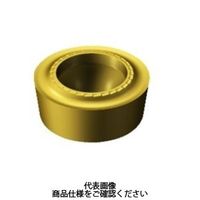 サンドビック TAチップ RCMT0803M0ーSMS05F 1セット(10個)（直送品）