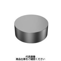 サンドビック（SANDVIK） TAチップ RNGN