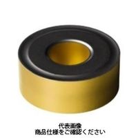 サンドビック（SANDVIK） TAチップ RNMG