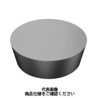 サンドビック TAチップ RPGN090300E6060 1セット(10個)（直送品）