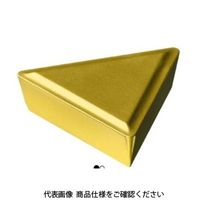 サンドビック TAチップ TPMR160308235 1セット(10個)（直送品）