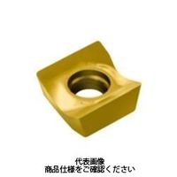 サンドビック（SANDVIK） TAミーリングチップ R590-110504H-N