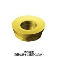 サンドビック（SANDVIK） TAミーリングチップ R300-1240M