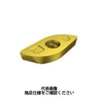 サンドビック（SANDVIK） TAミーリングチップ R216-1002E-M