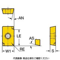 サンドビック TAミーリングチップ R216.2ー100204235 1セット(10個)（直送品）