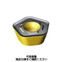 サンドビック TAミーリングチップ 419Nー140530EーSMS30T 1セット(10個)（直送品）