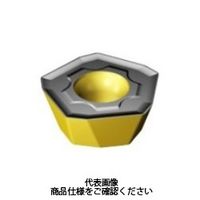 サンドビック（SANDVIK） TAミーリングチップ 419R-1405E-MM