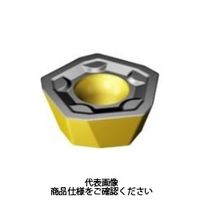 サンドビック（SANDVIK） TAミーリングチップ 419R-1405M-PH