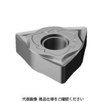 サンドビック TAチップ WNGG080404ーSGFH13A 1セット(10個)（直送品）