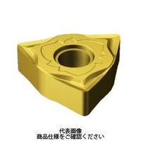 サンドビック TAチップ WNGG080404ーSGFS05F 1セット(10個)（直送品）