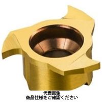 サンドビック TAミーリングチップ 327R06ー1015002ーGM1025 1セット(2個)（直送品）