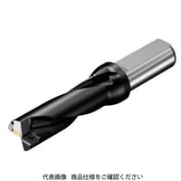 サンドビック コロドリル 880ーD2500L25ー03 1本（直送品）