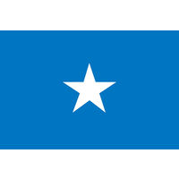 東京製旗 ソマリア国旗（卓上旗16×24ｃm) 406381 1枚（直送品）
