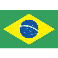 東京製旗 ブラジル国旗（卓上旗16×24ｃm) 406646 1枚