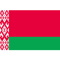 東京製旗 ベラルーシ国旗（卓上旗16×24ｃm) 406668 1枚（直送品）