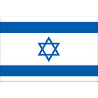 東京製旗 イスラエル国旗（卓上旗16×24ｃm) 406124 1枚（直送品）