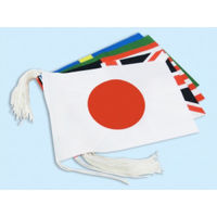 東京製旗 万国旗セット