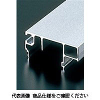 エヌアイシ・オートテック M6 コンベア用サイドカバーフレーム 524mm ACSR-2268-6-524（直送品）