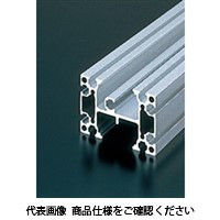 エヌアイシ・オートテック M6 フリーフローコンベアフレーム 249mm AFH-6090-6-249（直送品）