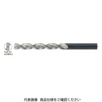 グーリングジャパン（GUHRING） ハイスストレートドリル深穴 549-1.9 1セット（10本）（直送品）