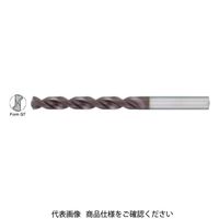 グーリングジャパン（GUHRING） ハイスストレートドリル Fコート深穴 2457-1.7 1セット（10本）（直送品）