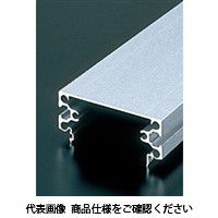 エヌアイシ・オートテック M6 ダクトフレーム 728mm AFD-3090A-6-728 1セット（5本）（直送品）