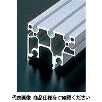 エヌアイシ・オートテック M6 フリーフローコンベアフレーム 172mm ACSR-6090-6-172（直送品）