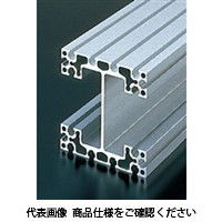 エヌアイシ・オートテック M6 構造用フレーム 169mm AFSH-120120-6-169 1セット(5本)（直送品）