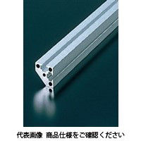 エヌアイシ・オートテック M6 ベーシックフレーム 399mm AFSC-2020-4-399 1セット(50本)（直送品）