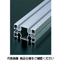 エヌアイシ・オートテック M8 ベーシックアルミフレーム 882mm AFS-4080F-8-882（直送品）