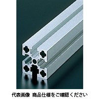 エヌアイシ・オートテック M8 ベーシックアルミフレーム 197mm AFS-4040L-8-197（直送品）