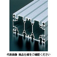 エヌアイシ・オートテック M8 ベーシックアルミフレーム 896mm AFS-80160-8-896（直送品）