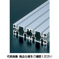 エヌアイシ・オートテック M8 ベーシックアルミフレーム 984mm AFS-40160-8-984（直送品）