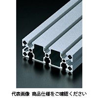 エヌアイシ・オートテック M8 ベーシックアルミフレーム 961mm AFS-40120-8-961（直送品）