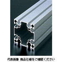 エヌアイシ・オートテック M8 ベーシックアルミフレーム 188mm AFS-8080L-8-188（直送品）