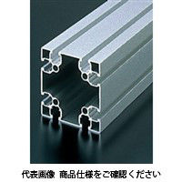 エヌアイシ・オートテック M8 ベーシックアルミフレーム 508mm AFS-8080F-8-508（直送品）