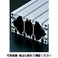 エヌアイシ・オートテック M8 ベーシックアルミフレーム 996mm AFS-90180L-8-996 1本（直送品）