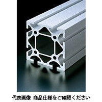 エヌアイシ・オートテック H10 高剛性フレーム 913mm AFSー100100Hー10ー913 1本（直送品）