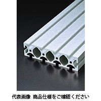 エヌアイシ・オートテック H10 高剛性フレーム 666mm AFSー50200Hー10ー666 1本（直送品）