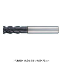 グーリングジャパン（GUHRING） 超硬エンドミル #3895-12 1本（直送品）