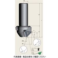 富士元工業 ヤングメン BNK4546Tー1 1個（直送品）