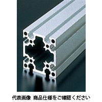 エヌアイシ・オートテック M8 ベーシックアルミフレーム 665mm AFS-8080-8-665 1セット(3本)（直送品）