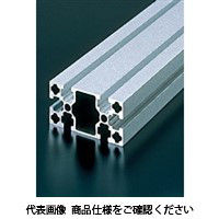 エヌアイシ・オートテック M8 ベーシックアルミフレーム 266mm AFS-4080L-8-266（直送品）