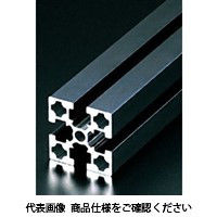 エヌアイシ・オートテック M8 ベーシックアルミフレーム 347mm AFS-4040L-8-BK-347（直送品）