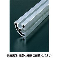 エヌアイシ・オートテック M8 ベーシックアルミフレーム 464mm AFSR-4040-8-464（直送品）