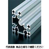 エヌアイシ・オートテック M8 ベーシックアルミフレーム 868mm AFSL-808040-8-868（直送品）