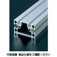 エヌアイシ・オートテック M8 ベーシックアルミフレーム 896mm AFSF-4080L-8-896（直送品）